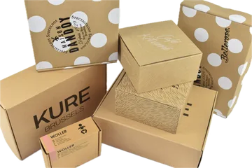 Экспресс-доставка Коробки в Zwijnaarde Бельгия